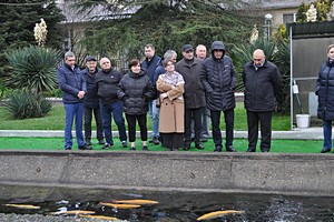 ������� ��� ����������